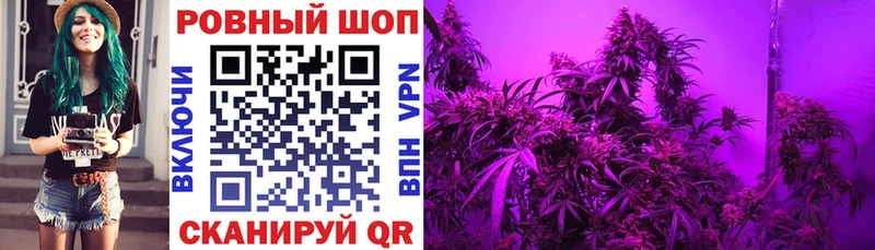 Купить закладку Покровск COCAIN Каннабис Альфа ПВП Гашиш Меф мяу мяу
