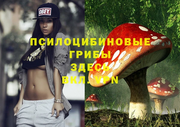 а пвп мука Баксан